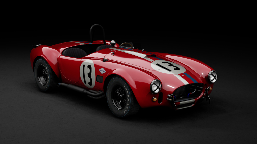 GTC60 Shelby Cobra 289 Competition, skin 1966_13